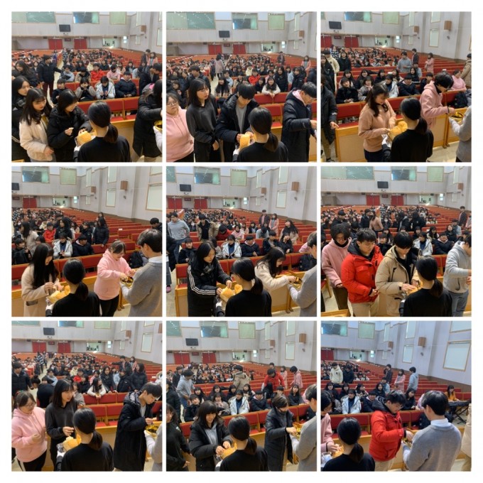 14944A5D-C40F-4B9A-AD2A-F19FA86F6C52-COLLAGE.JPG